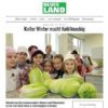 Kalter Winter macht Kohl knackig - Küche: Chinakohl mit Reines steirisches Kürbiskernöl